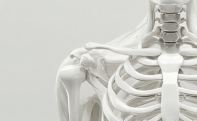 Кости и мягкие ткани